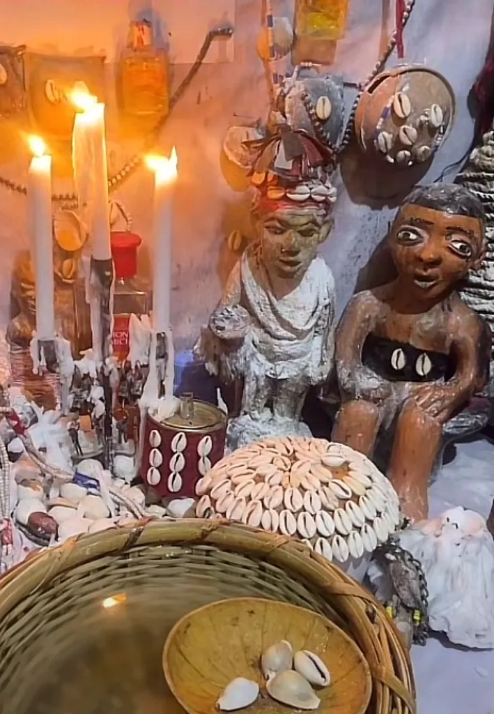 whatsapp image 2025 03 09 at 00.54.46 1