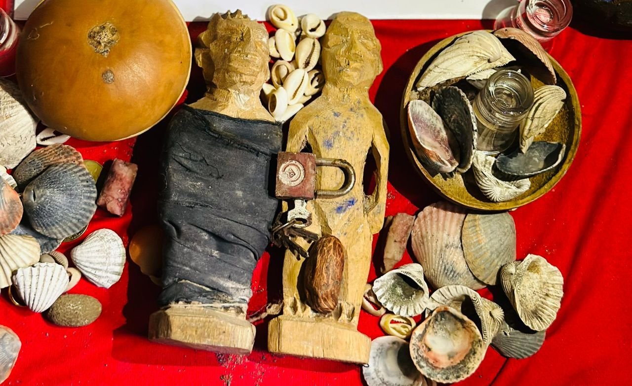 whatsapp image 2025 03 09 at 00.54.51