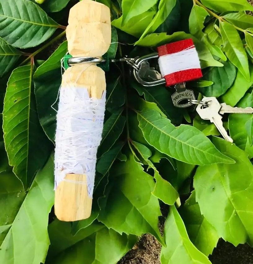 whatsapp image 2025 03 09 at 21.46.03 1 1